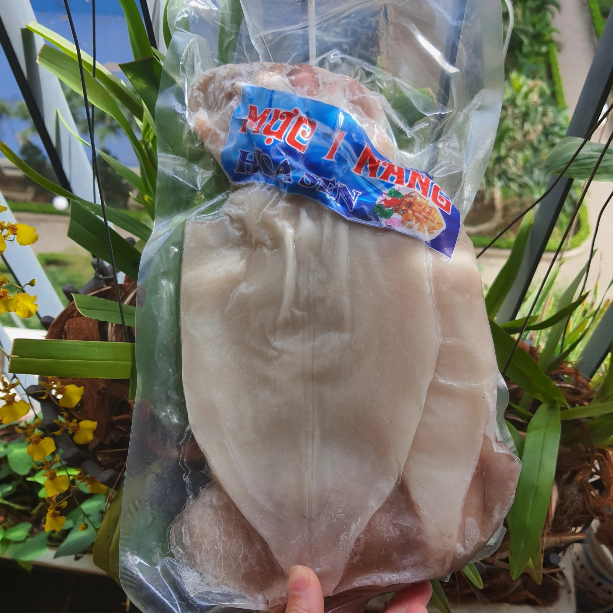 Mực một nắng 3 con/1kg