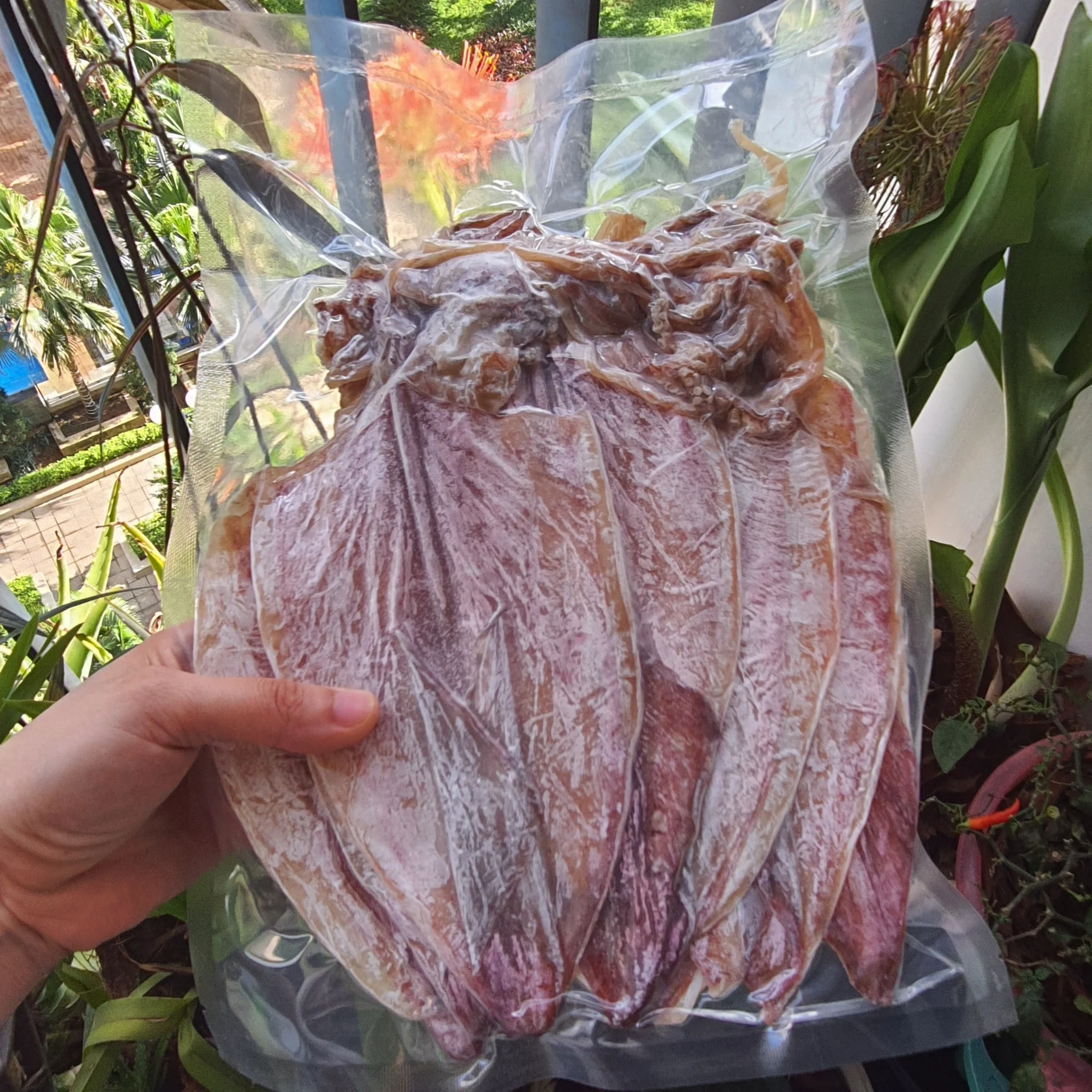 Mực khô câu size 19 – 20 con/1kg