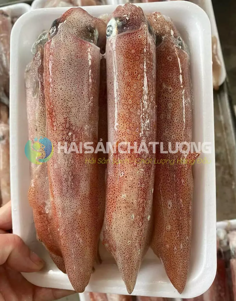 Mực ống túi 500g