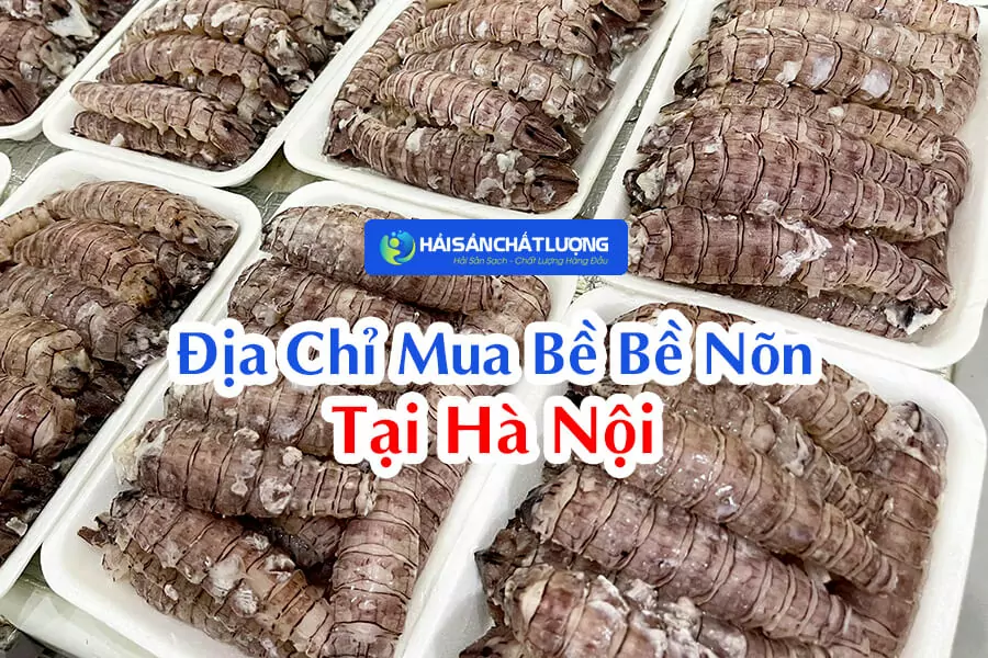 Địa Chỉ Mua Bề Bề Nõn Tại Hà Nội