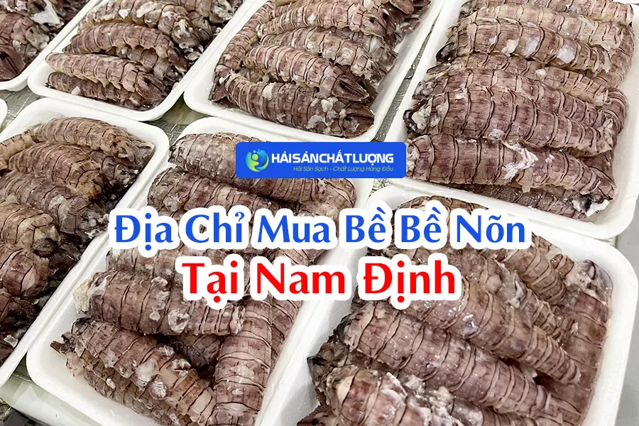 Hải Sản Chất Lượng - Địa Chỉ Mua Bề Bề Nõn Tại Nam Định