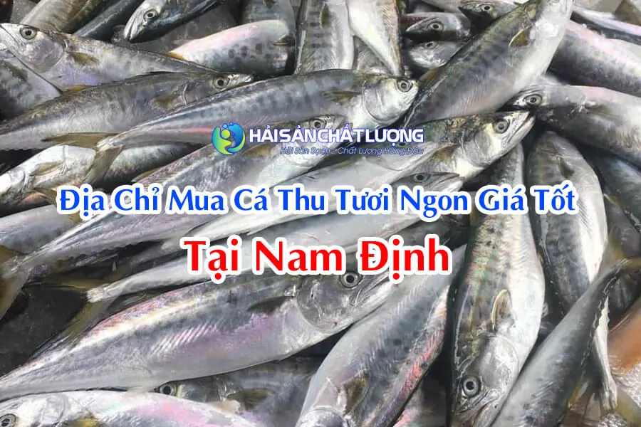 Địa Chỉ Mua Cá Thu Tươi Ngon Giá Tốt Tại Nam Định