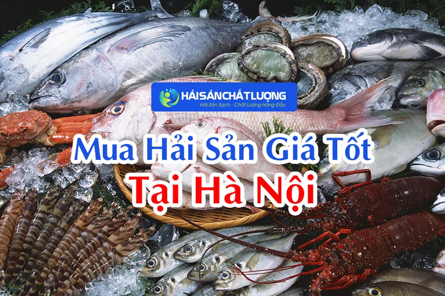 Mua Hải Sản Giá Tốt Tại Hà Nội