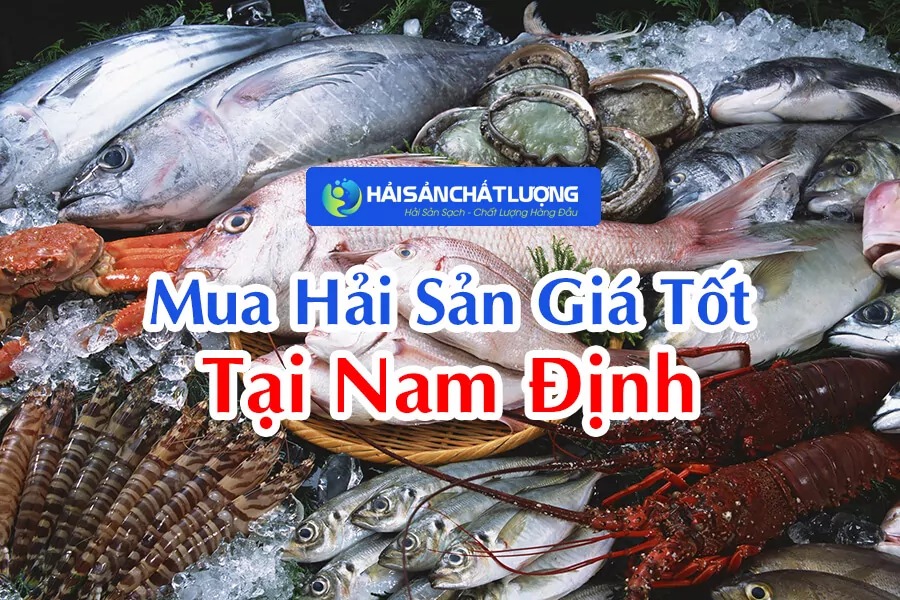 Địa Chỉ Mua Hải Sản Giá Tốt Tại Nam Định