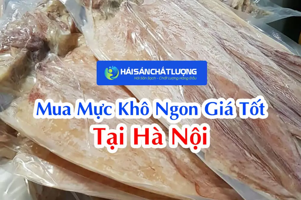 Địa Chỉ Mua Mực Khô Ngon Giá Tốt Tại Hà Nội