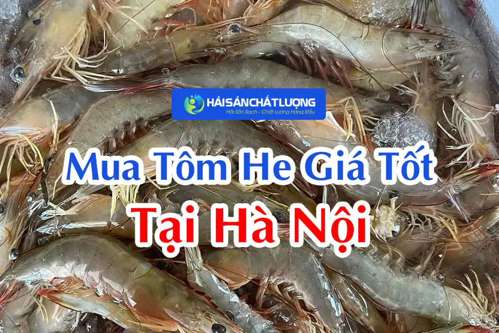 Địa Chỉ Mua Tôm He Giá Tốt Tại Hà Nội