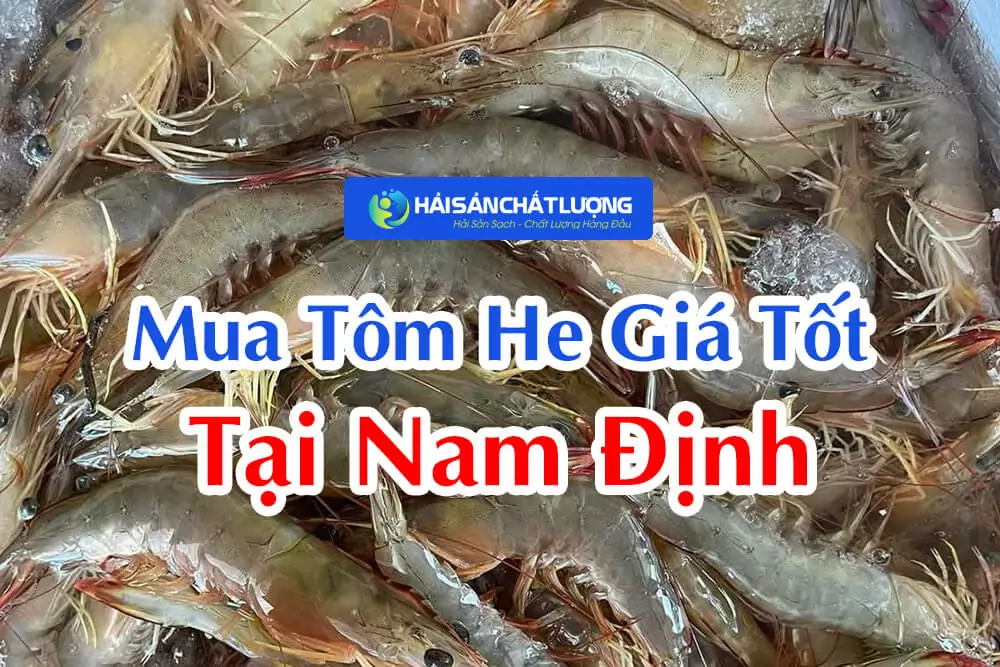 Địa Chỉ Mua Tôm He Giá Tốt Tại Nam Định