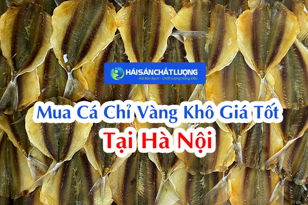 Mua Cá Chỉ Vàng Khô Giá Tốt Tại Hà Nội