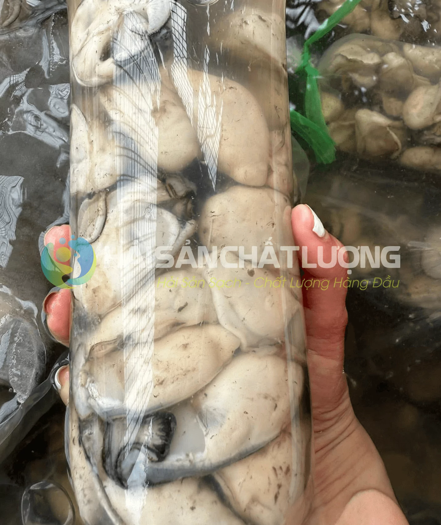 ruot-hau-sua-chat-luong