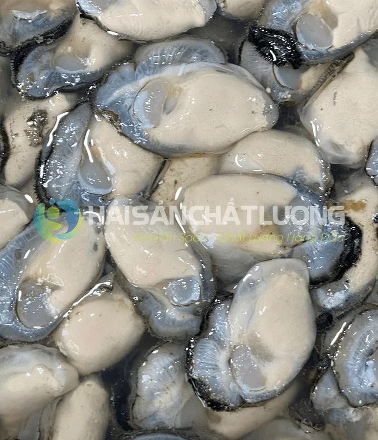 Ruột hàu sữa tươi sống