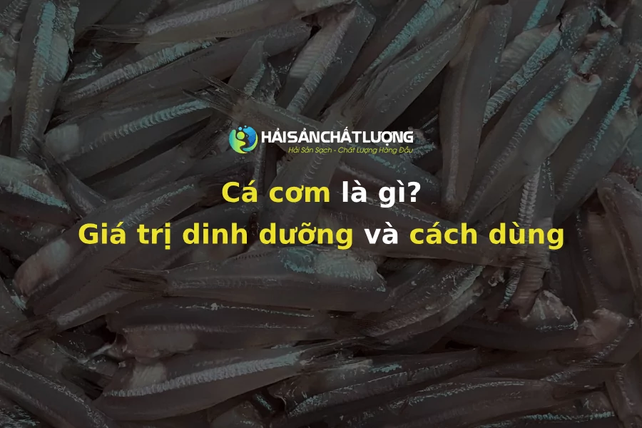 Cá cơm là gì? Giá trị dinh dưỡng và cách dùng cá cơm đúng cách