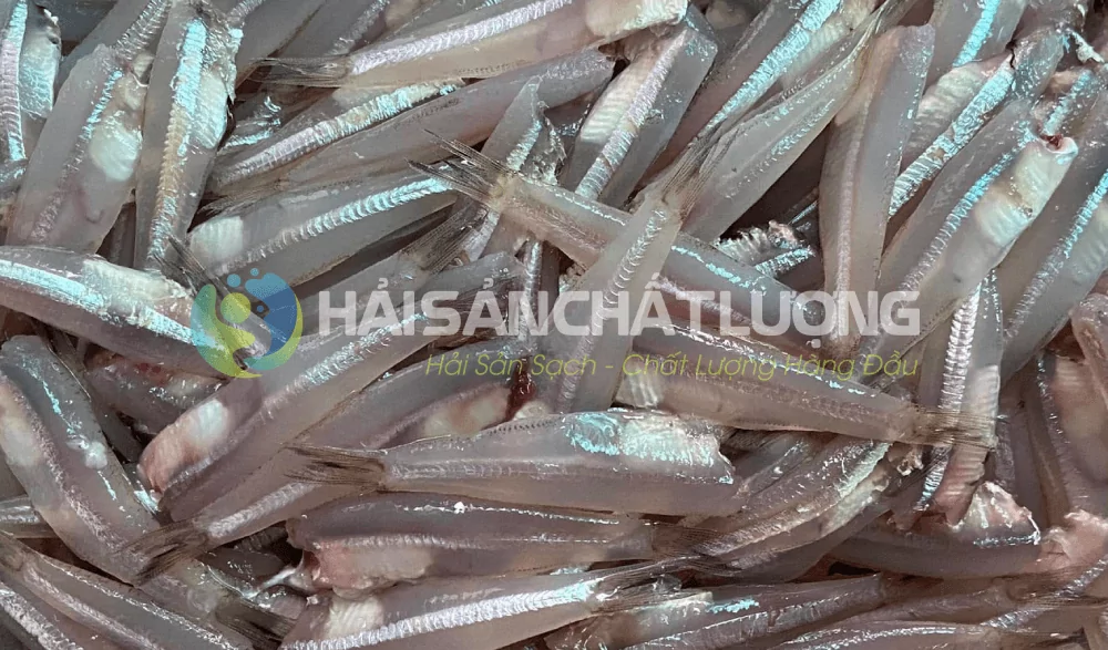 Cách bảo quản cá cơm đúng cách