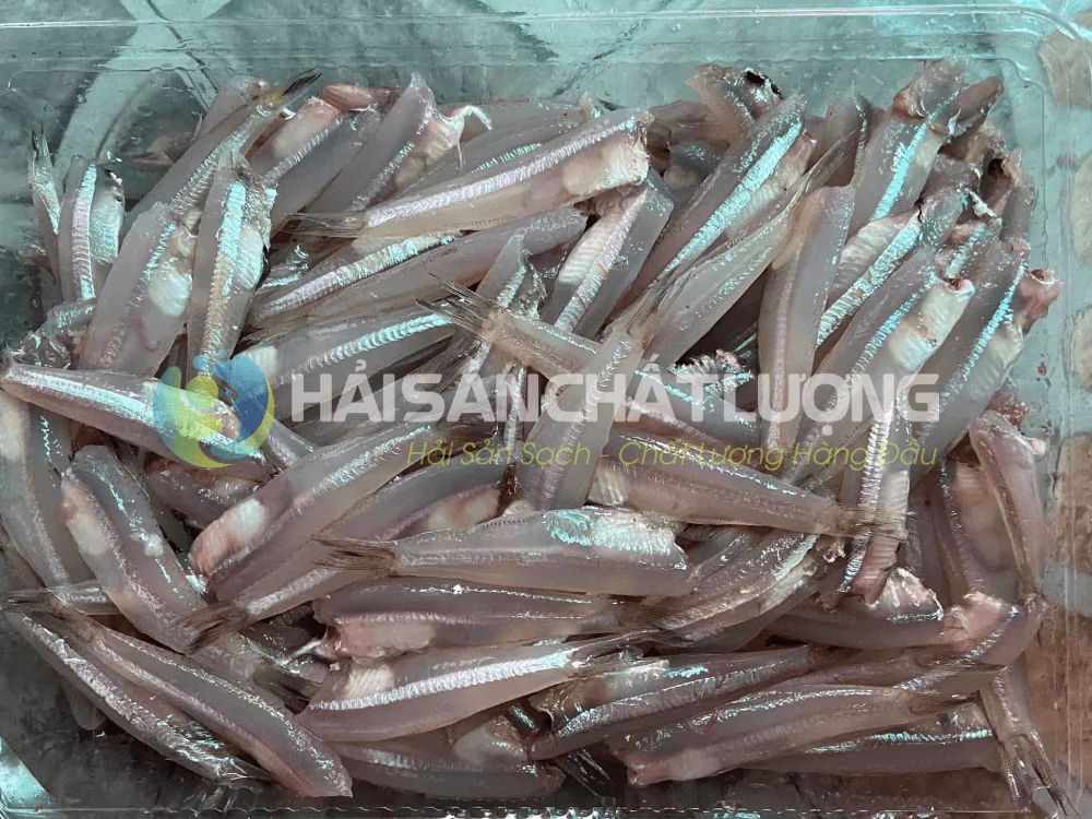 Cá cơm tươi được làm sạch tại Hải Sản Chất Lượng Cá cơm tươi được làm sạch tại Hải Sản Chất Lượng