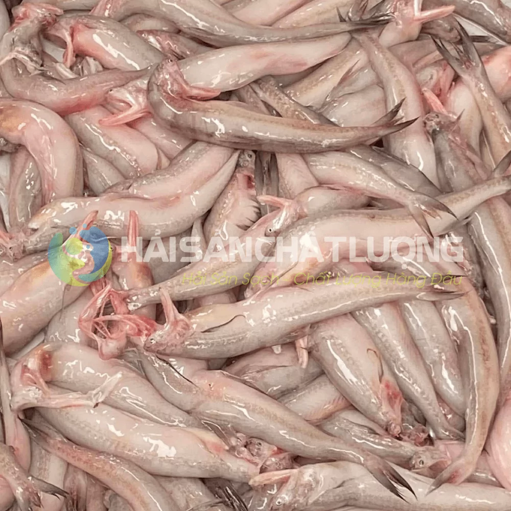 Cá khoai tươi ngon