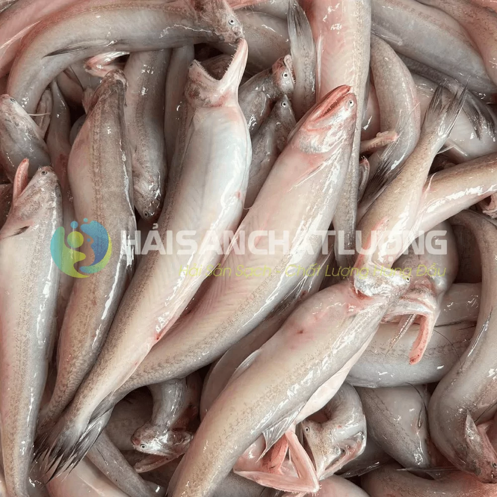Cá khoai tại Hải Sản Chất Lượng