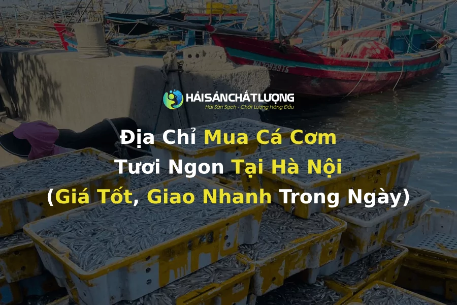 Địa Chỉ Mua Cá Cơm Tươi Ngon Tại Hà Nội (Giá Tốt, Giao Nhanh Trong Ngày)