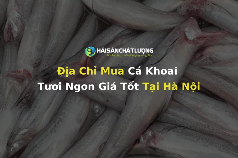Địa Chỉ Mua Cá Khoai Tươi Ngon Giá Tốt Tại Hà Nội