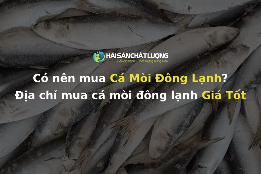 Có nên mua Cá Mòi Đông Lạnh? Địa chỉ mua cá mòi đông lạnh Giá Tốt