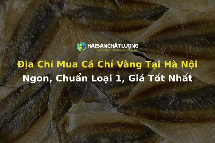 Mua Cá Chỉ Vàng Ở Đâu Hà Nội Ngon, Chuẩn Loại 1, Giá Tốt Nhất?