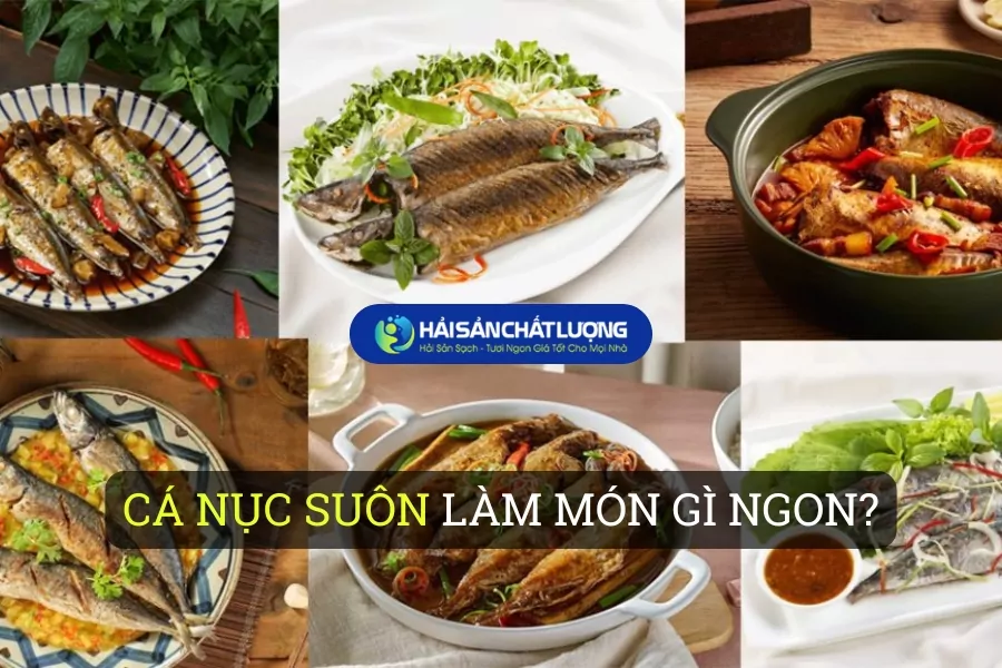 Cá Nục Suôn làm món gì ngon? Tổng hợp các món ăn từ Cá Nục Suôn dễ làm tại nhà