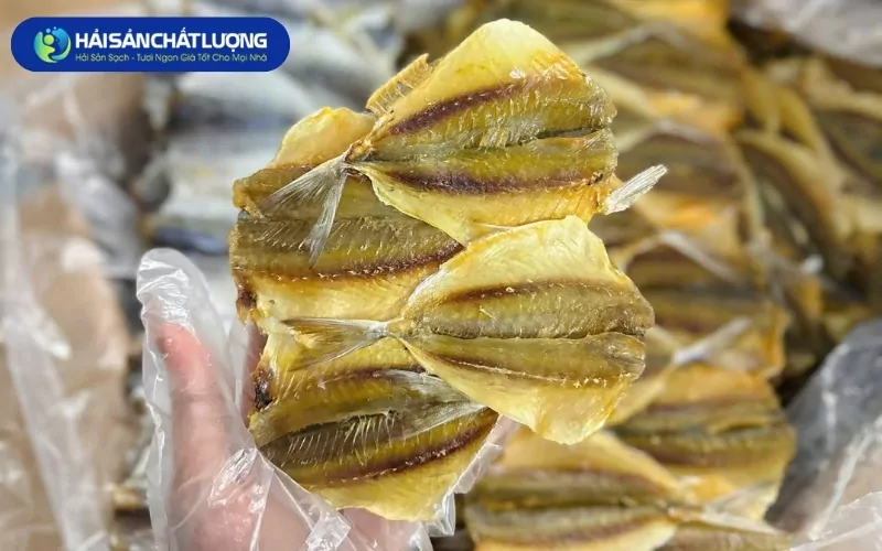 Mua Cá Chỉ Vàng Ở Đâu Uy Tín Hà Nội?
