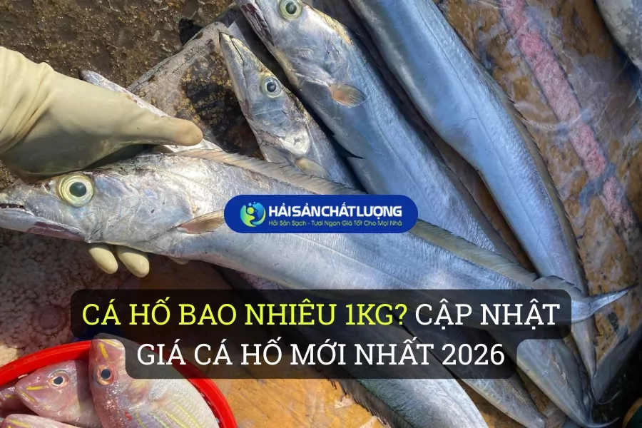Cá Hố bao nhiêu 1kg? Cập nhật giá cá Hố mới nhất 2026