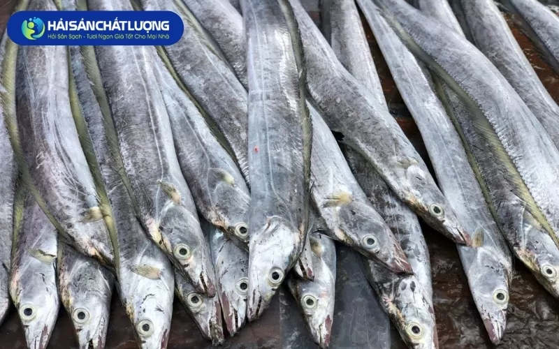 Cá Hố Hiện Nay Giá Bao Nhiêu 1kg?