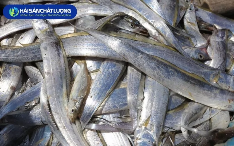 Những Yếu Tố Ảnh Hưởng Đến Giá Cá Hố